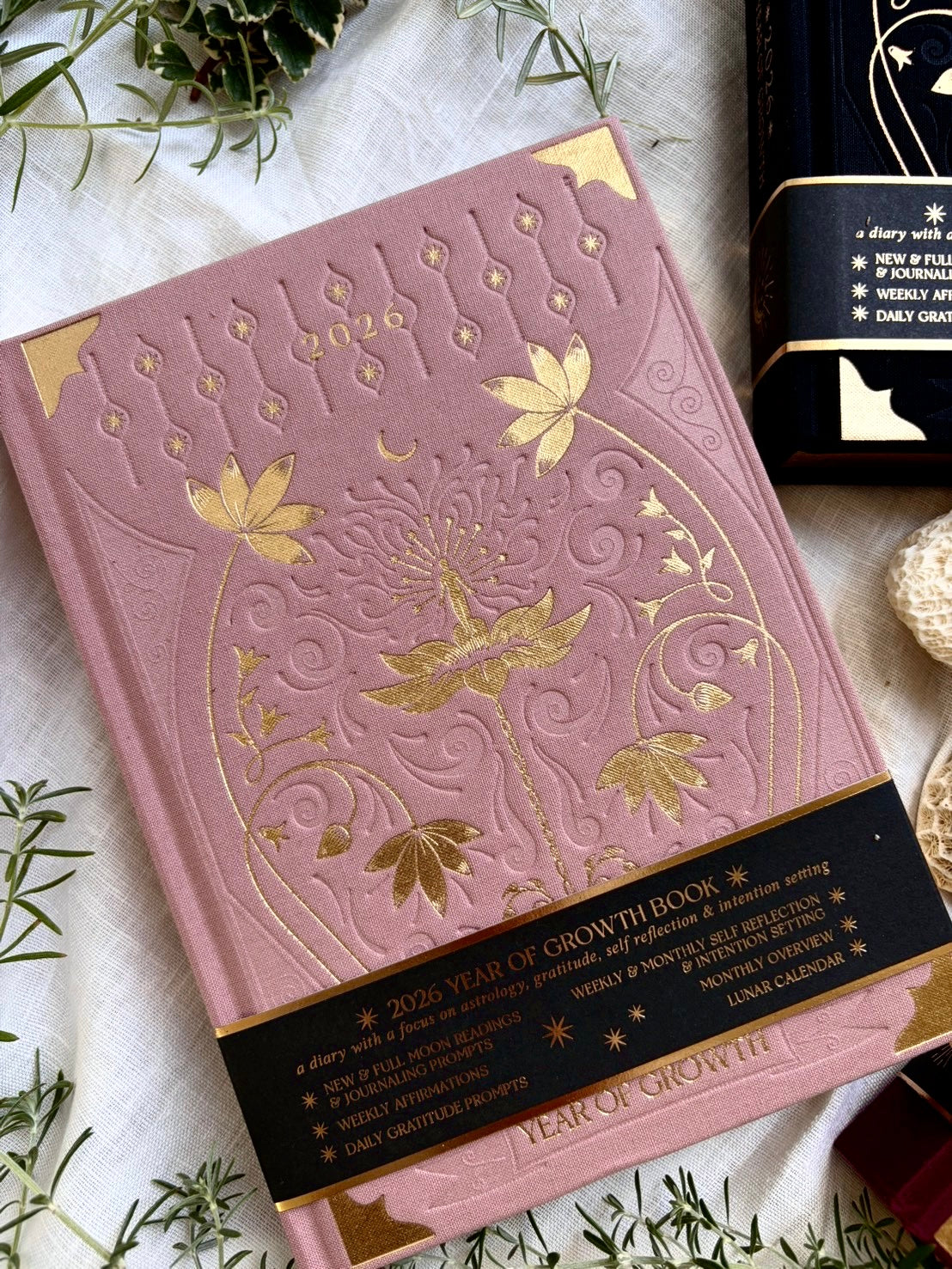 2026 Year of Growth Book