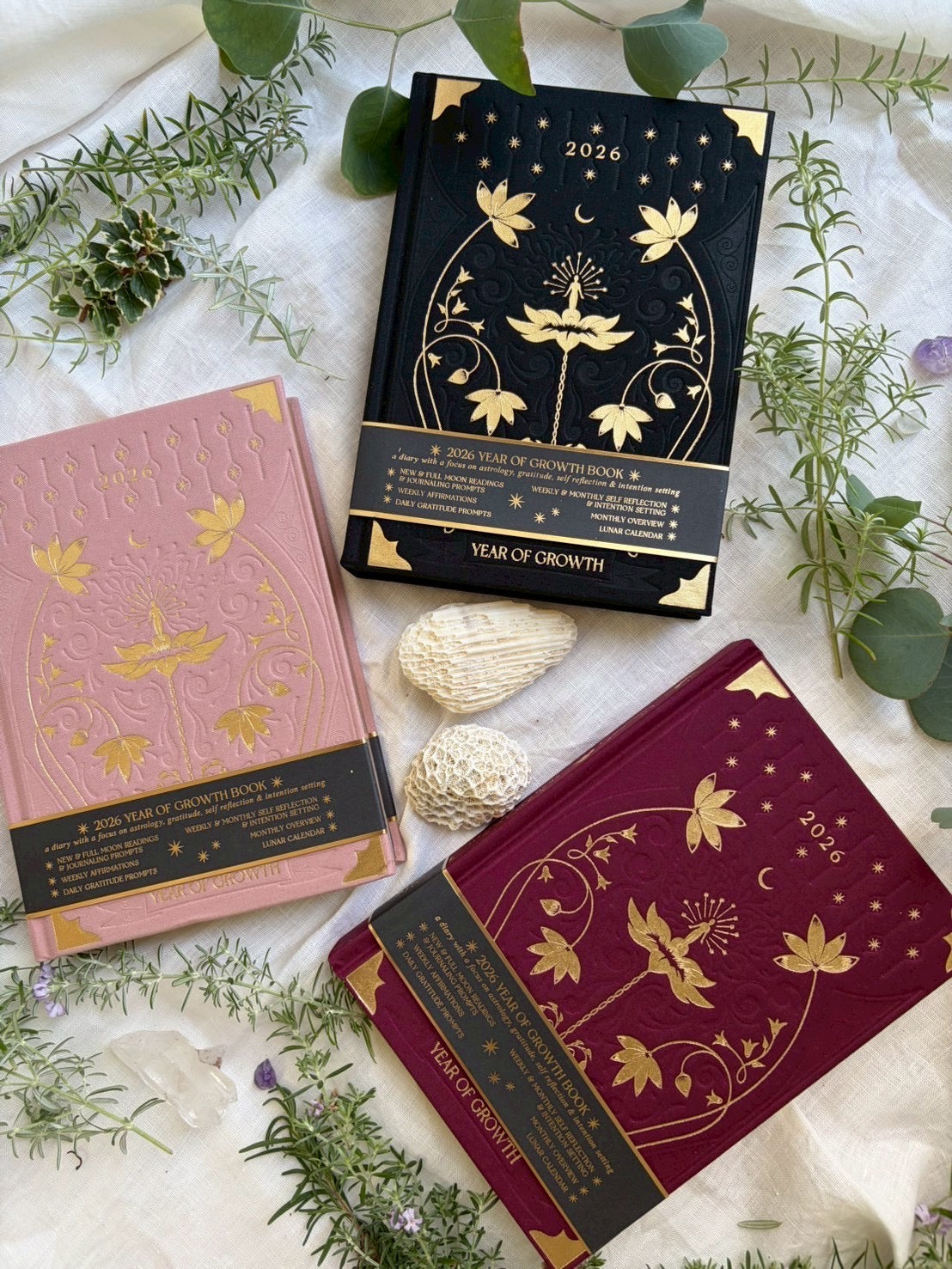 2026 Year of Growth Book