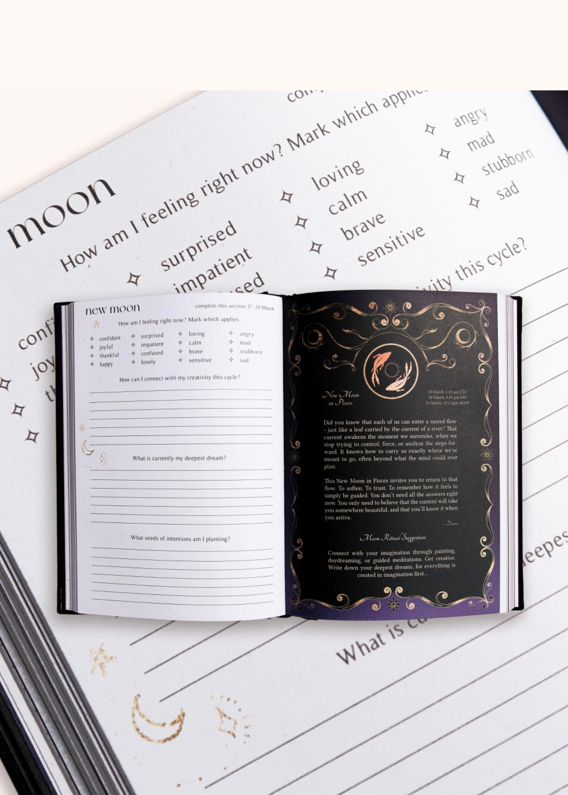 2026 Year of Growth – Online Community (Japanese)